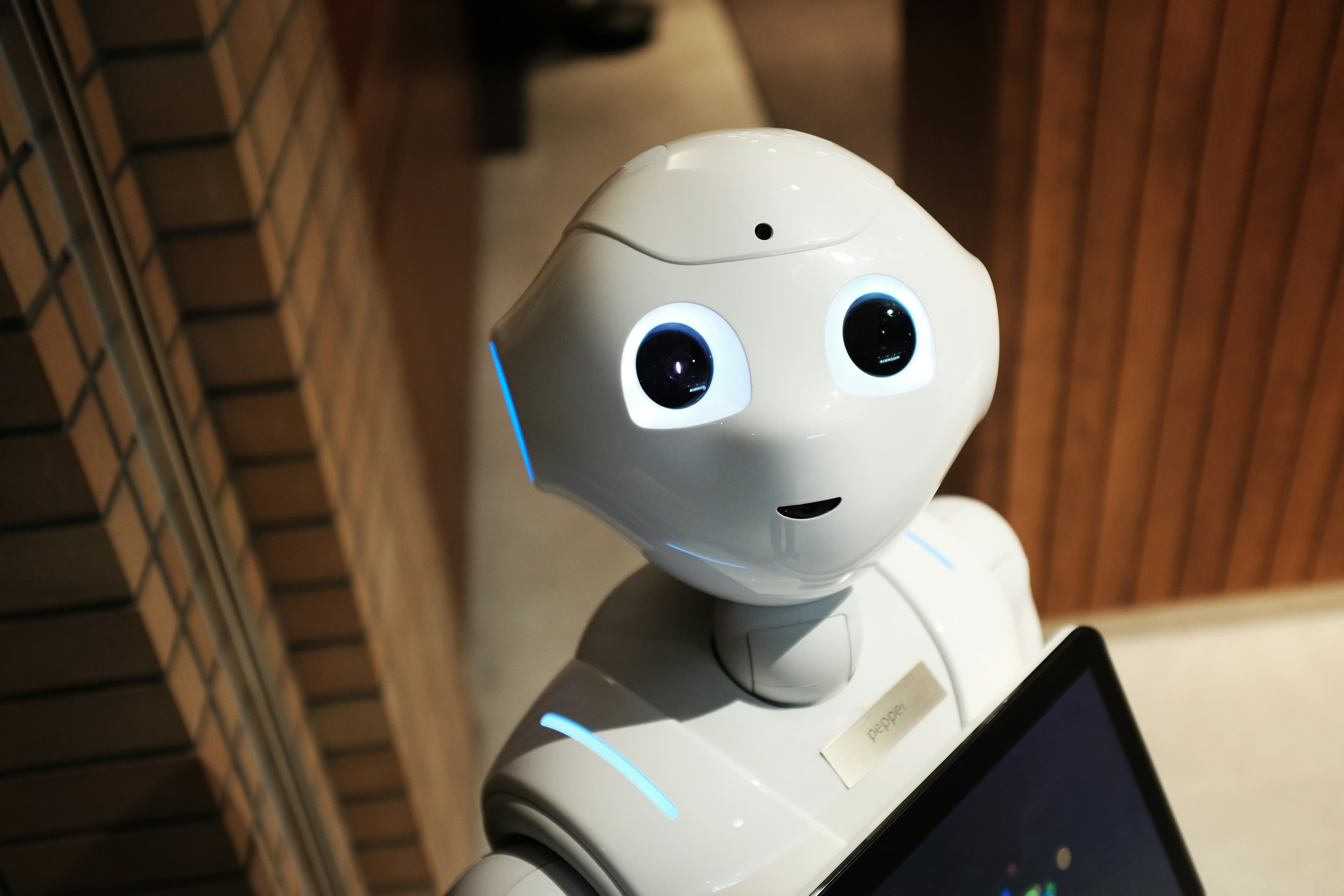 projectCategories.categories.ai.title